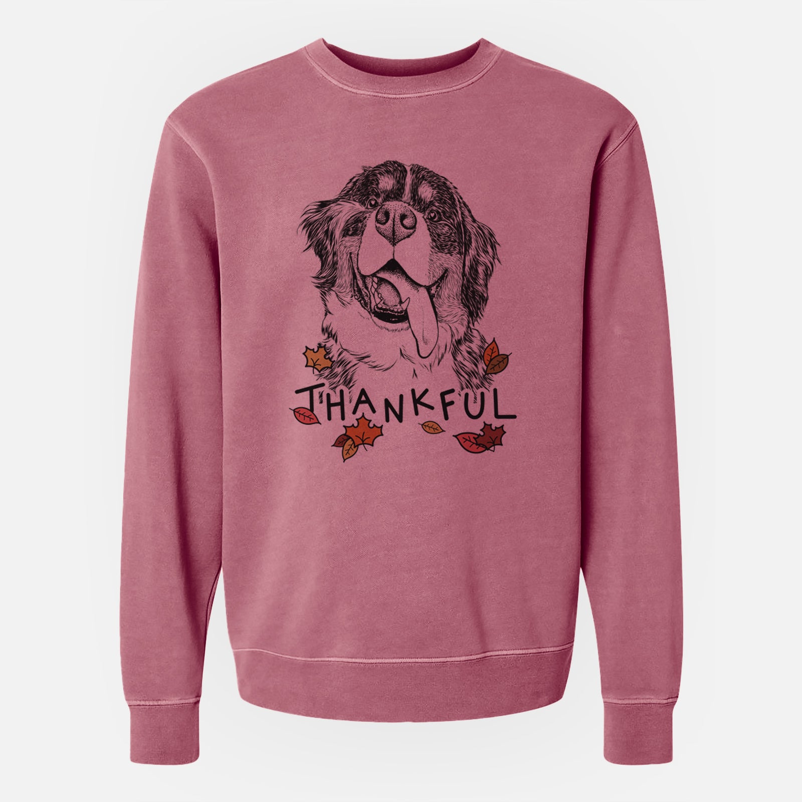 Hand-drawn sketch of Theo the Bernese Mountain Dog with 'Thankful' lettering and autumn leaves on a Maroon Unisex pigment dyed crew sweatshirt