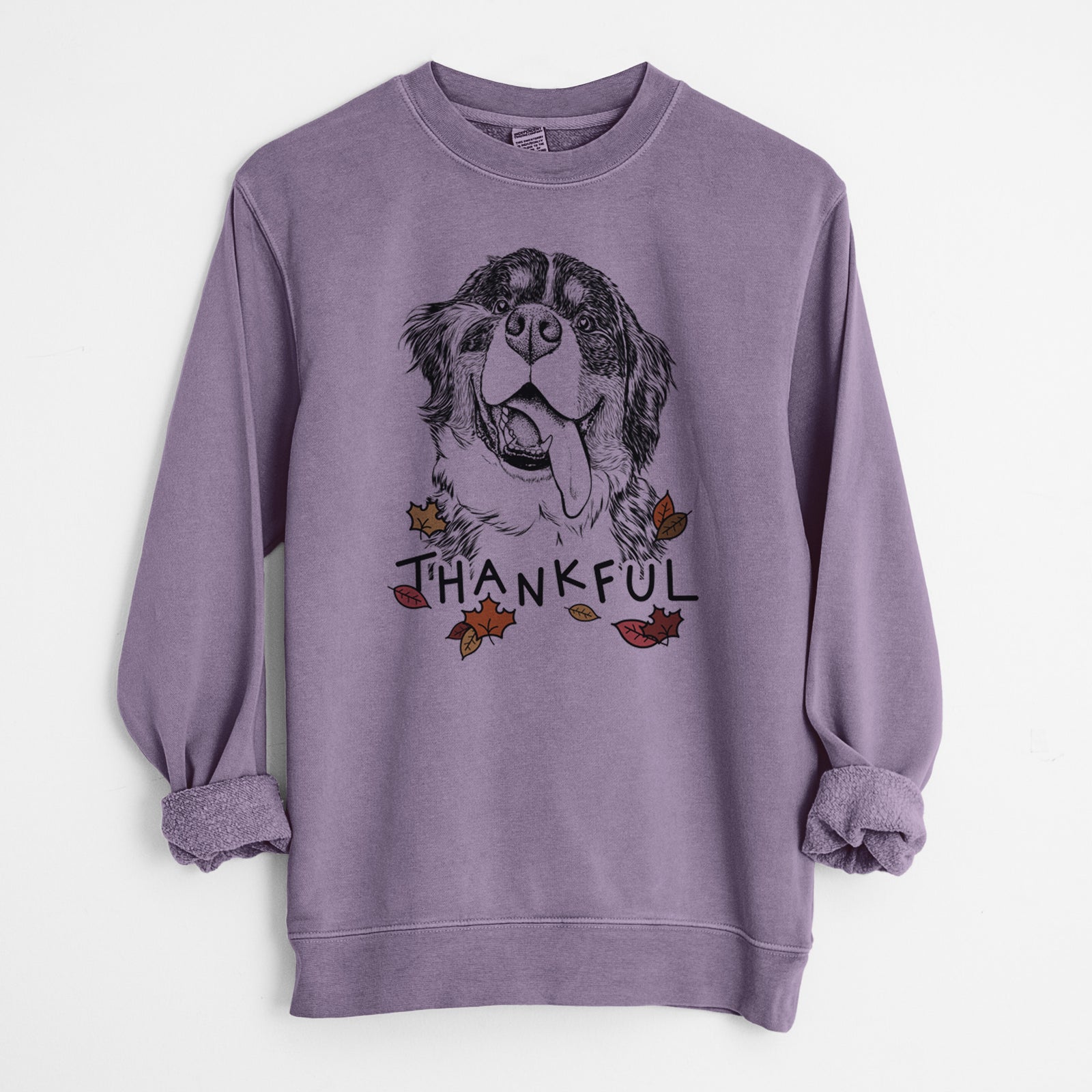 Hand-drawn sketch of Theo the Bernese Mountain Dog with 'Thankful' lettering and autumn leaves on a Plum Unisex pigment dyed crew sweatshirt