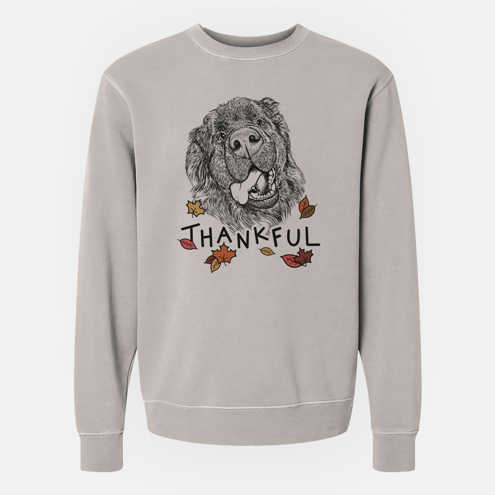 Hand-drawn sketch of Tuna the Newfoundland with 'Thankful' lettering and autumn leaves on a Cement Unisex pigment dyed crew sweatshirt