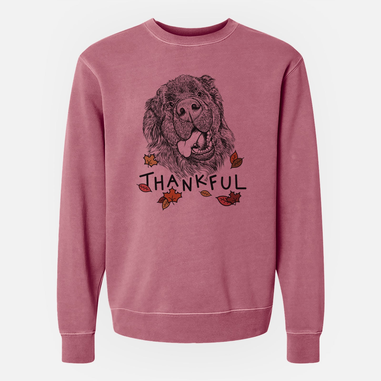 Hand-drawn sketch of Tuna the Newfoundland with 'Thankful' lettering and autumn leaves on a Maroon Unisex pigment dyed crew sweatshirt