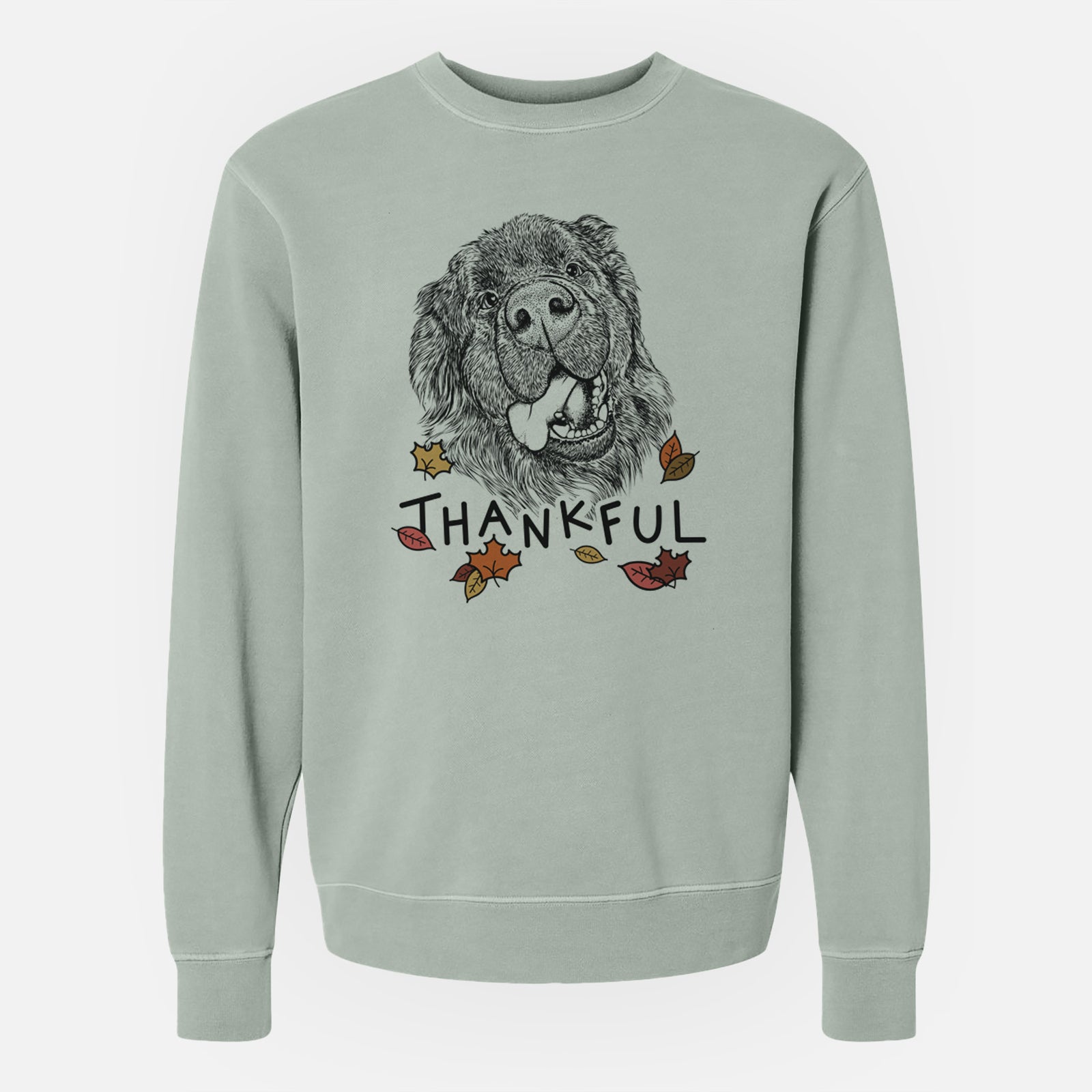 Hand-drawn sketch of Tuna the Newfoundland with 'Thankful' lettering and autumn leaves on a Sage Unisex pigment dyed crew sweatshirt