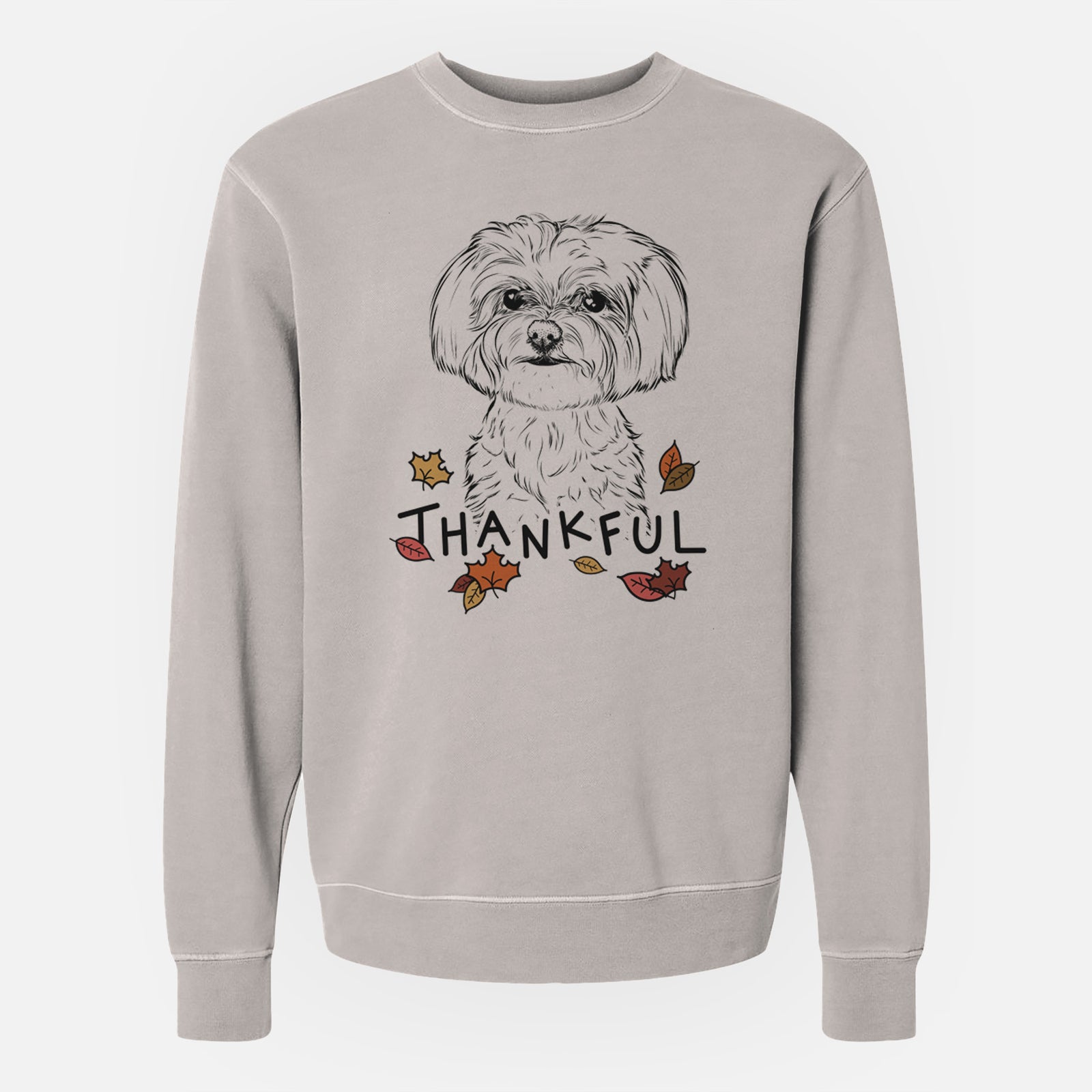 Hand-drawn sketch of Willow the Maltese with 'Thankful' lettering and autumn leaves on a Cement Unisex pigment dyed crew sweatshirt