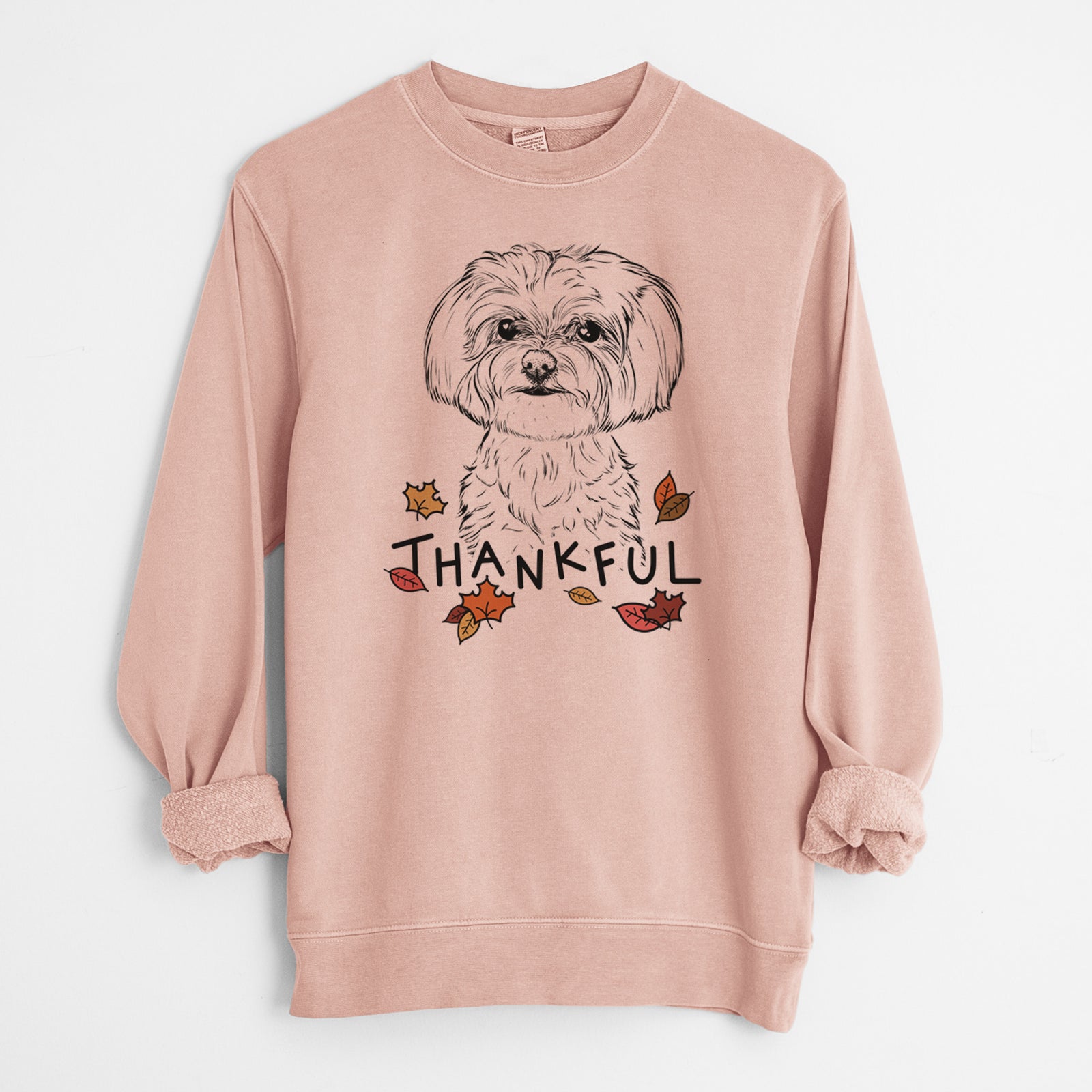 Hand-drawn sketch of Willow the Maltese with 'Thankful' lettering and autumn leaves on a Dusty Pink Unisex pigment dyed crew sweatshirt