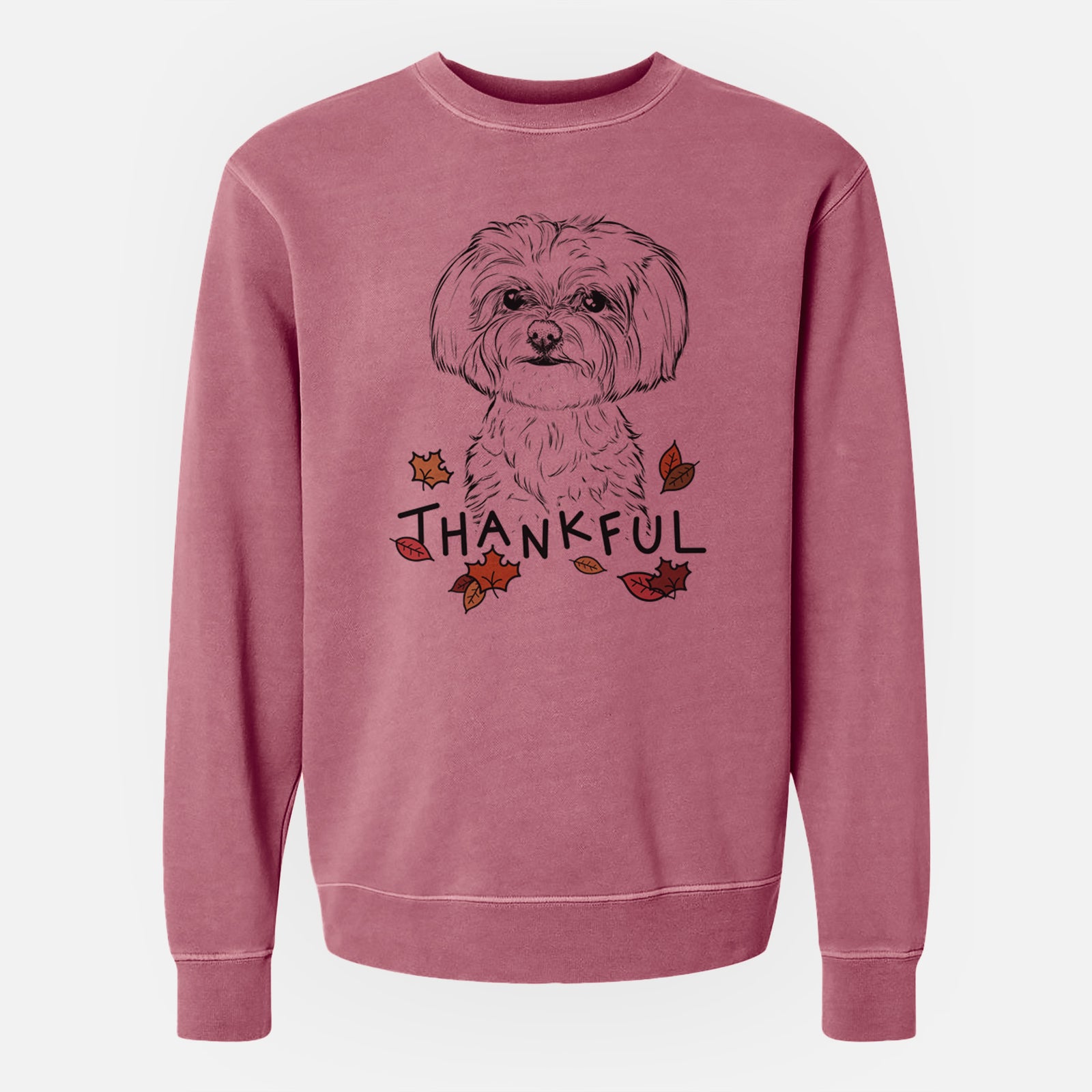 Hand-drawn sketch of Willow the Maltese with 'Thankful' lettering and autumn leaves on a Maroon Unisex pigment dyed crew sweatshirt