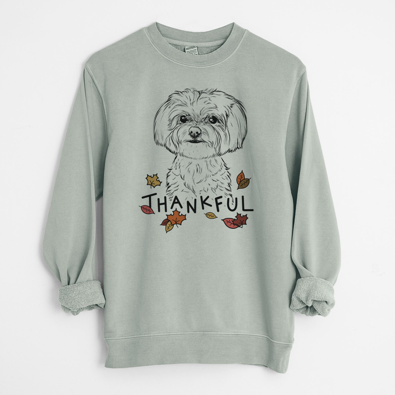 Hand-drawn sketch of Willow the Maltese with 'Thankful' lettering and autumn leaves on a Sage Unisex pigment dyed crew sweatshirt
