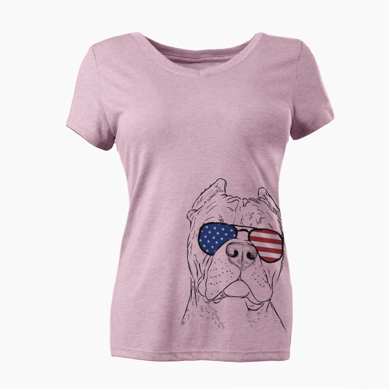 USA Bam Bam the Pitbull - Women's Perfect V-neck Shirt