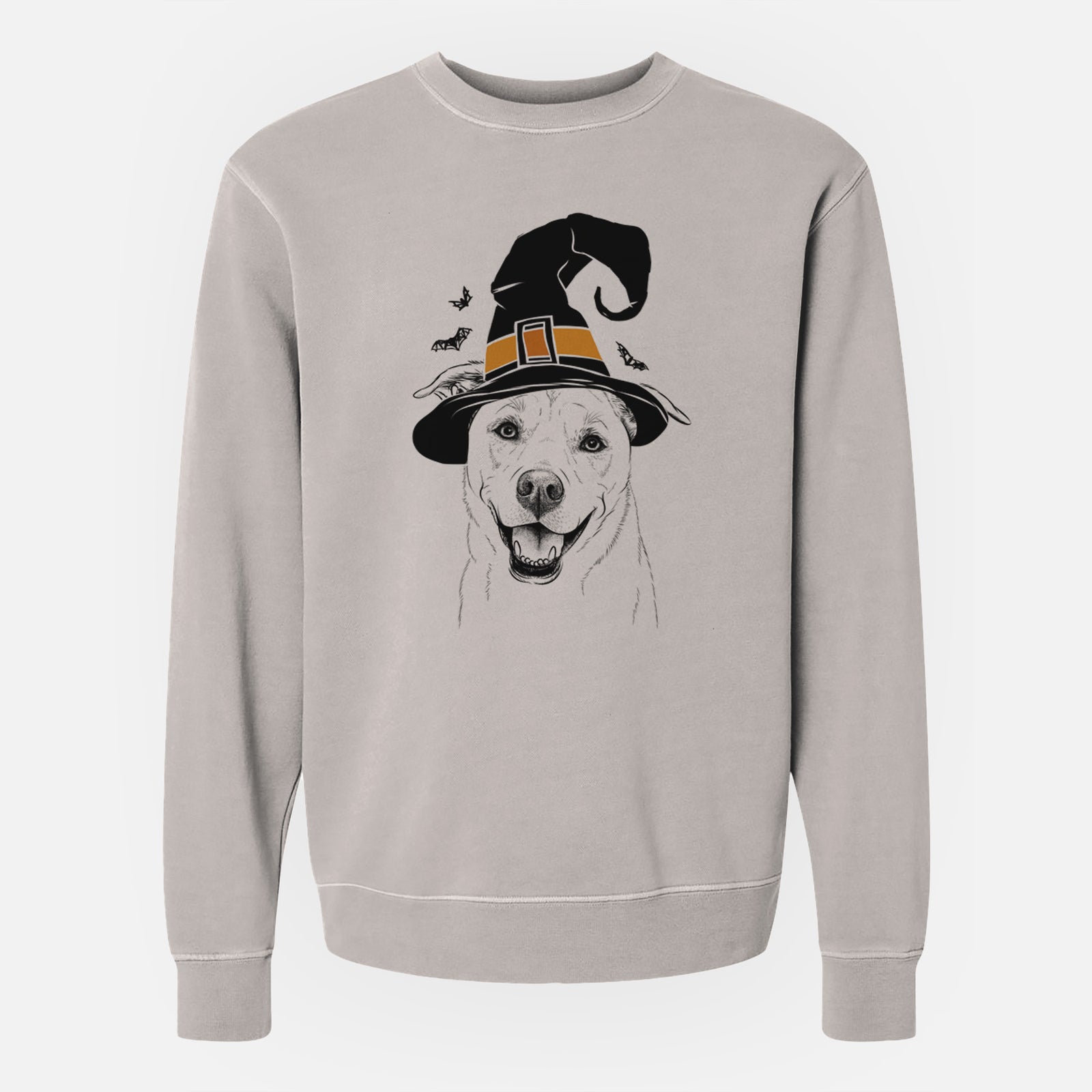 Hand-drawn sketch of Carl the Mixed Breed wearing a witch hat on a Cement Unisex pigment dyed crew sweatshirt