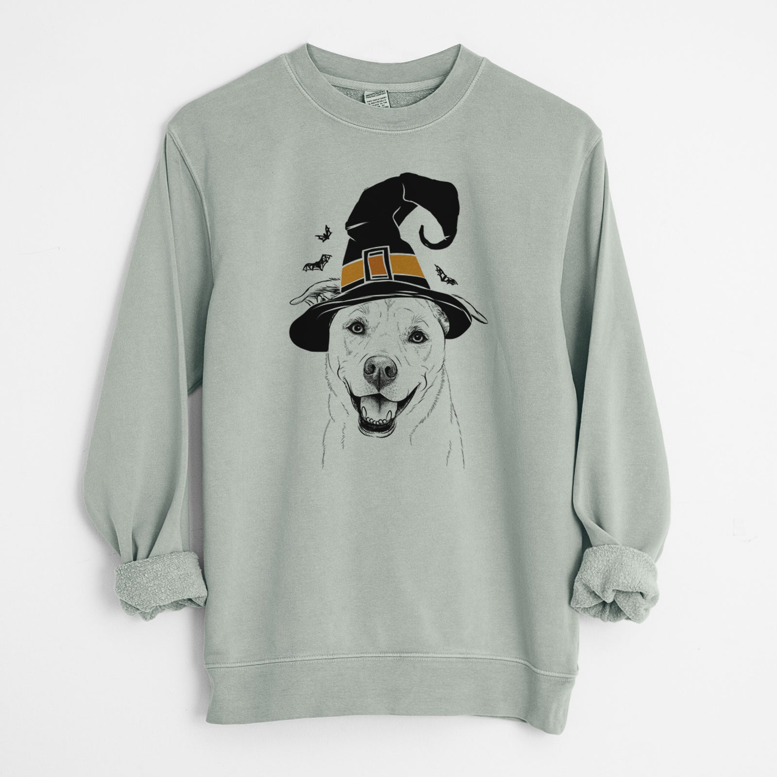Hand-drawn sketch of Carl the Mixed Breed wearing a witch hat on a Sage Unisex pigment dyed crew sweatshirt