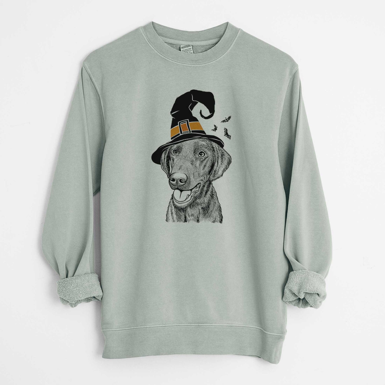 Hand-drawn sketch of Onyx the Labrador Retriever wearing a witch hat on a Sage Unisex pigment dyed crew sweatshirt