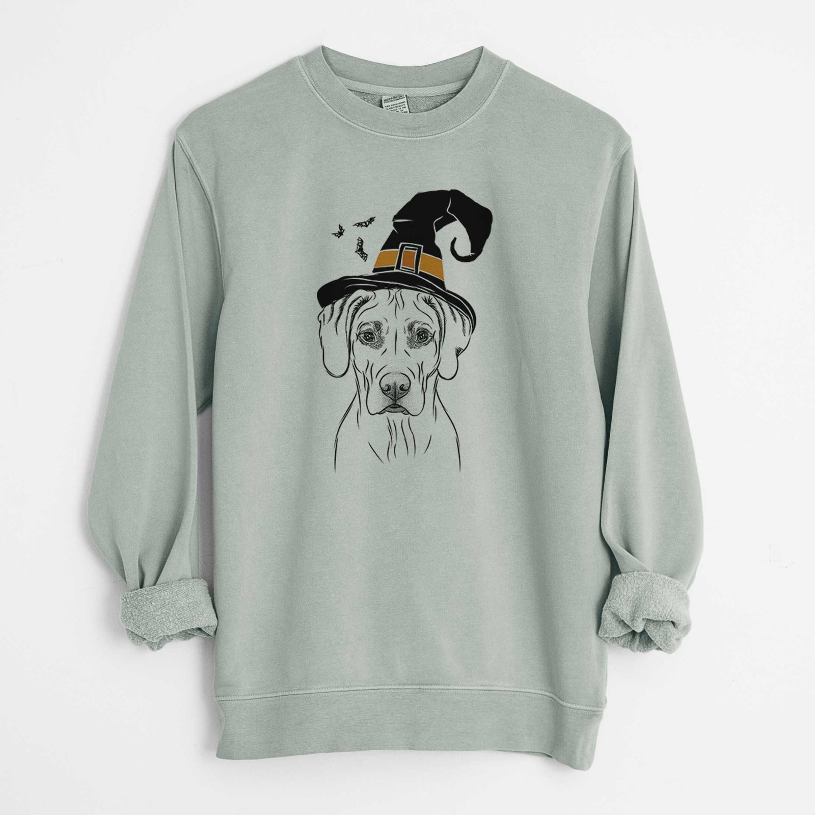 Hand-drawn sketch of Reid the Rhodesian Ridgeback wearing a witch hat on a Sage Unisex pigment dyed crew sweatshirt