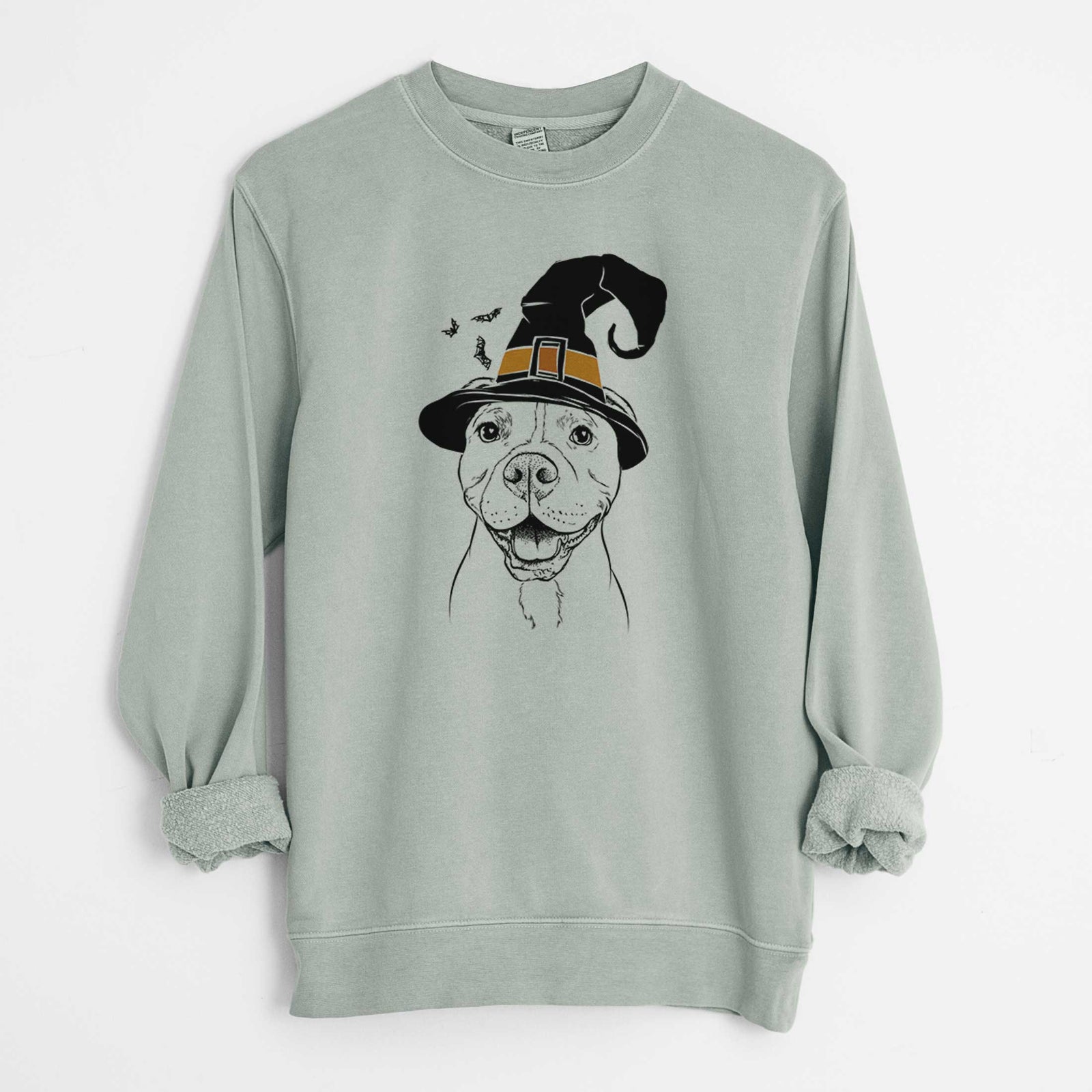 Hand-drawn sketch of Roscoe the Pitbull wearing a witch hat on a Sage Unisex pigment dyed crew sweatshirt