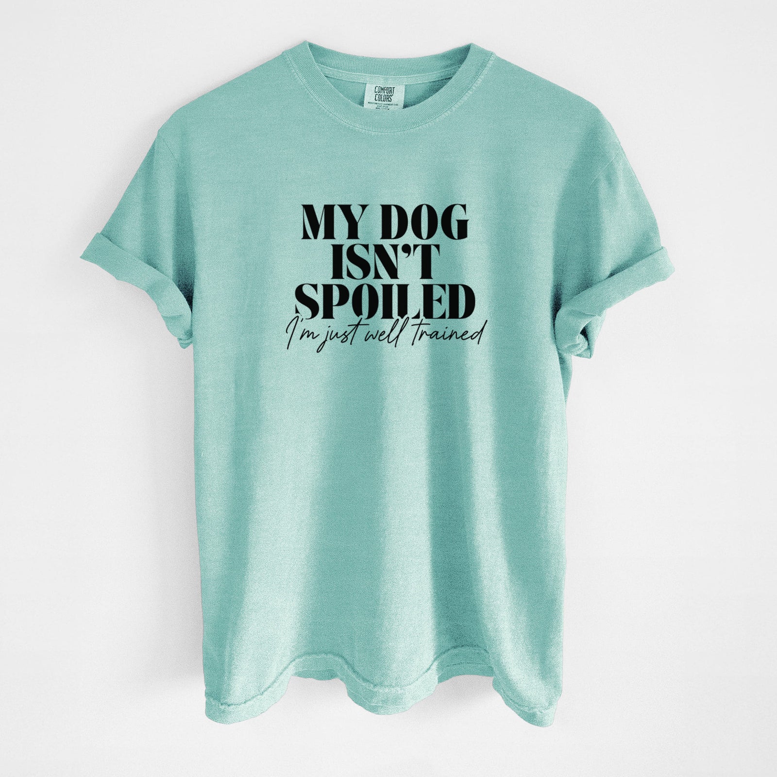 My Dog Isn't Spoiled I'm Just Well Trained - Unisex Comfort Colors Garment-Dyed Heavyweight T-shirt in Chalky Mint