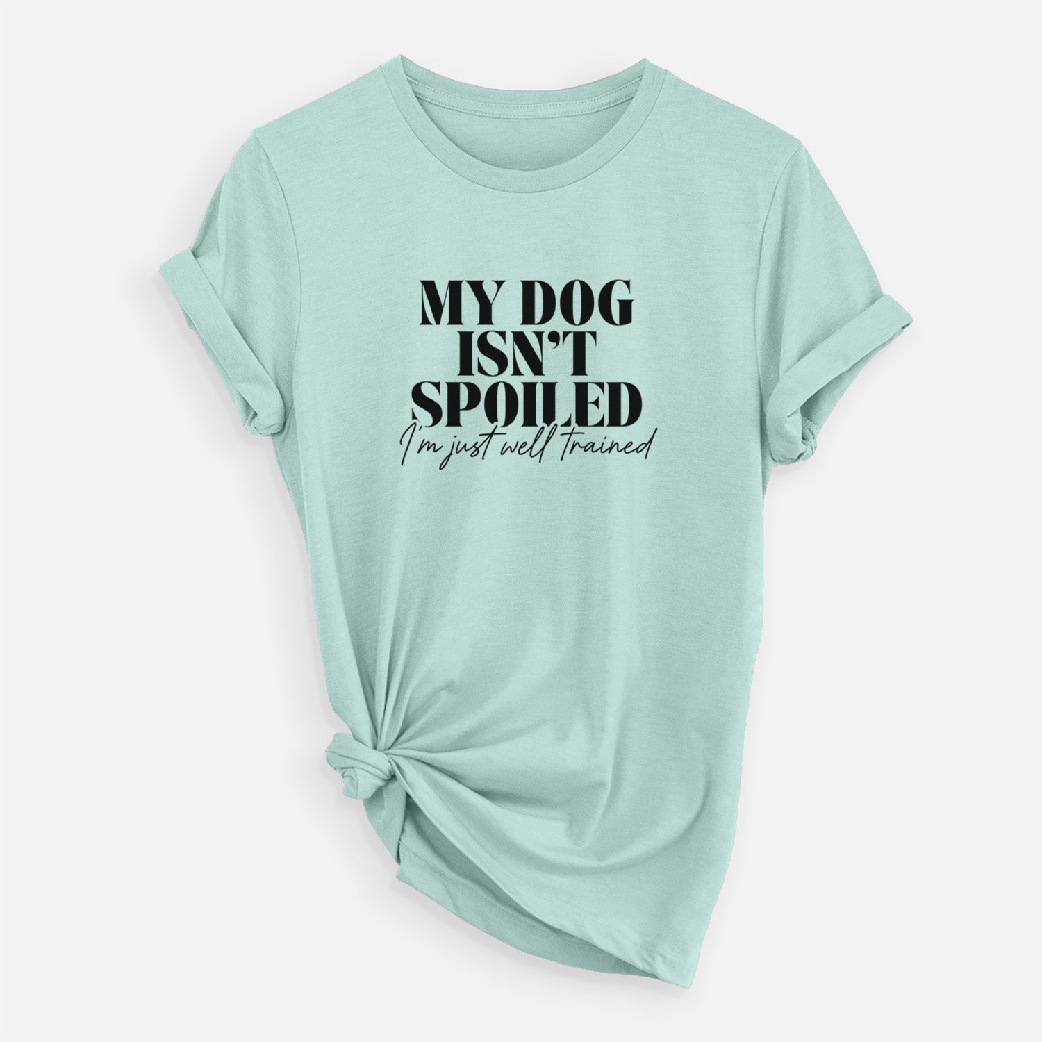 'My Dog Isn't Spoiled I'm Just Well Trained' design on a Heather Sage Unisex crewneck