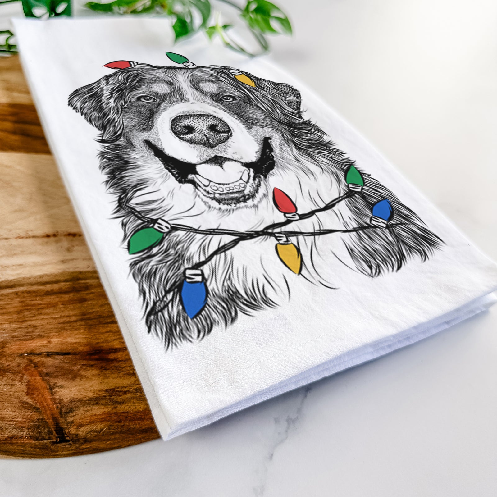 Hand-drawn sketch of Eiger the Bernese Mountain Dog wrapped in Christmas lights on a tea towel