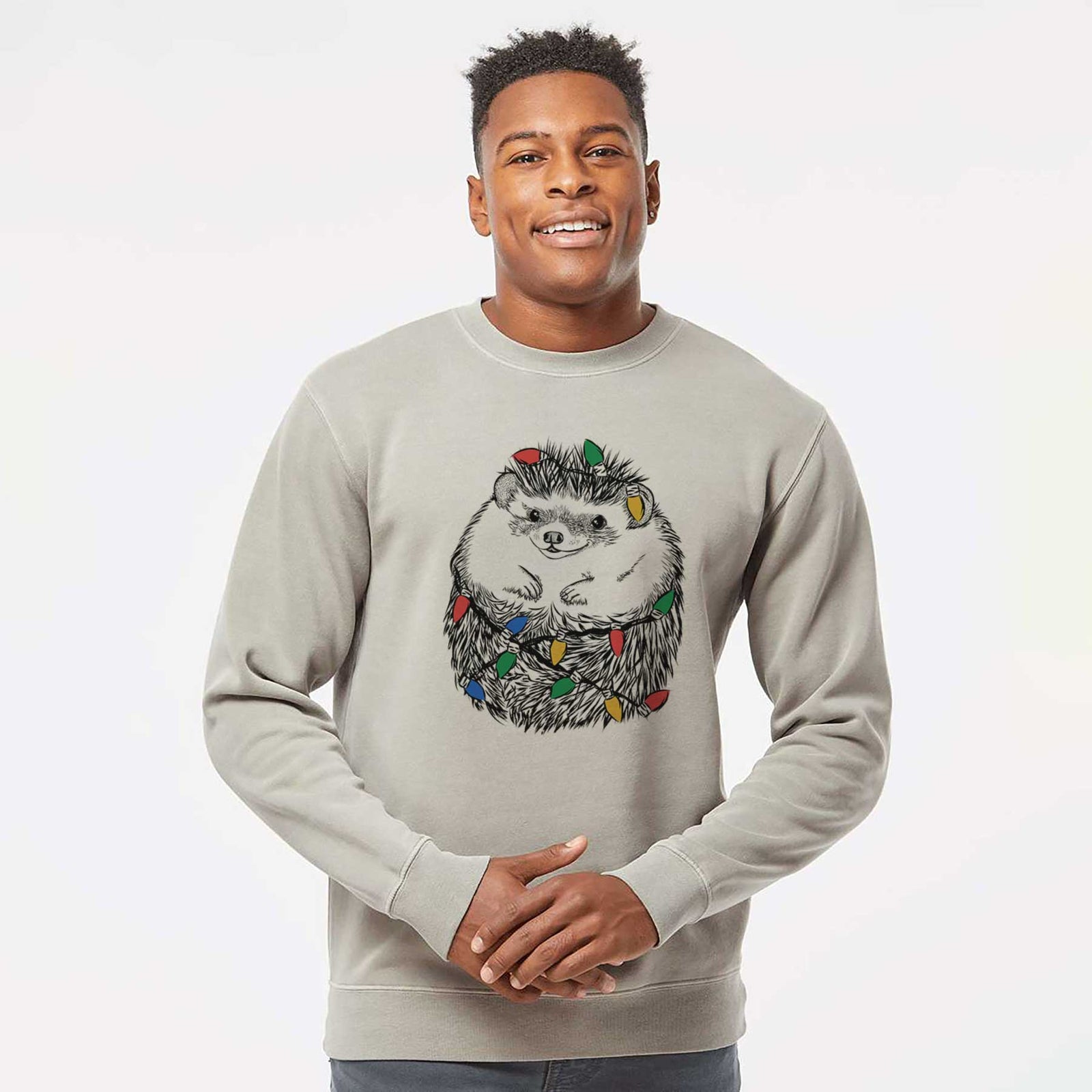 Hand-drawn sketch of Sid the Hedgehog wrapped in Christmas lights on a Cement Unisex pigment dyed crew sweatshirt