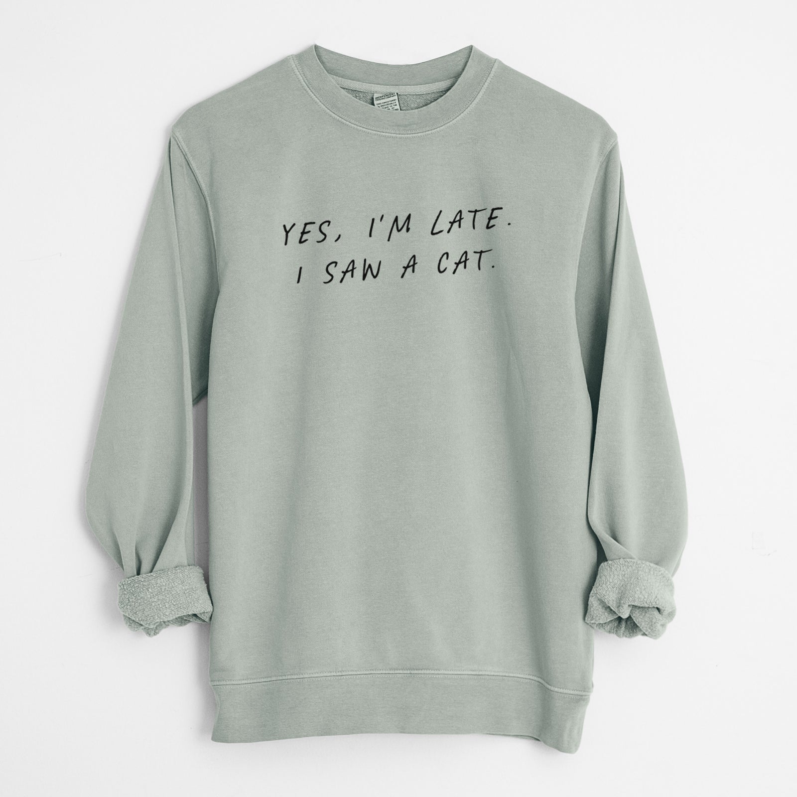'Yes, I'm Late. I Saw a Cat' design on a Sage Unisex pigment dyed crew sweatshirt