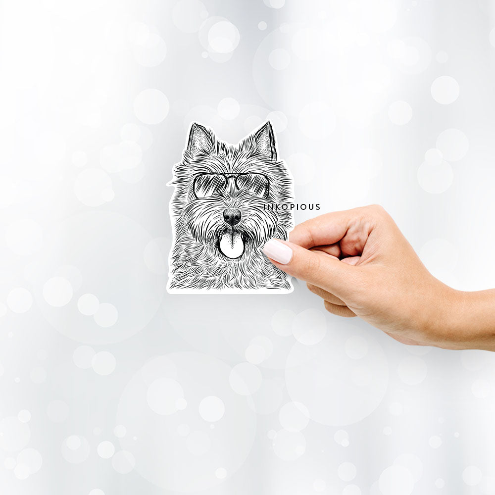 Hand-drawn sketch of Alfie the Norwich Terrier wearing aviator sunglasses on a Sticker decal sticker