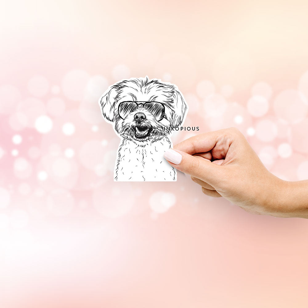 Hand-drawn sketch of Aspen the Morkie wearing aviator sunglasses on a Sticker decal sticker