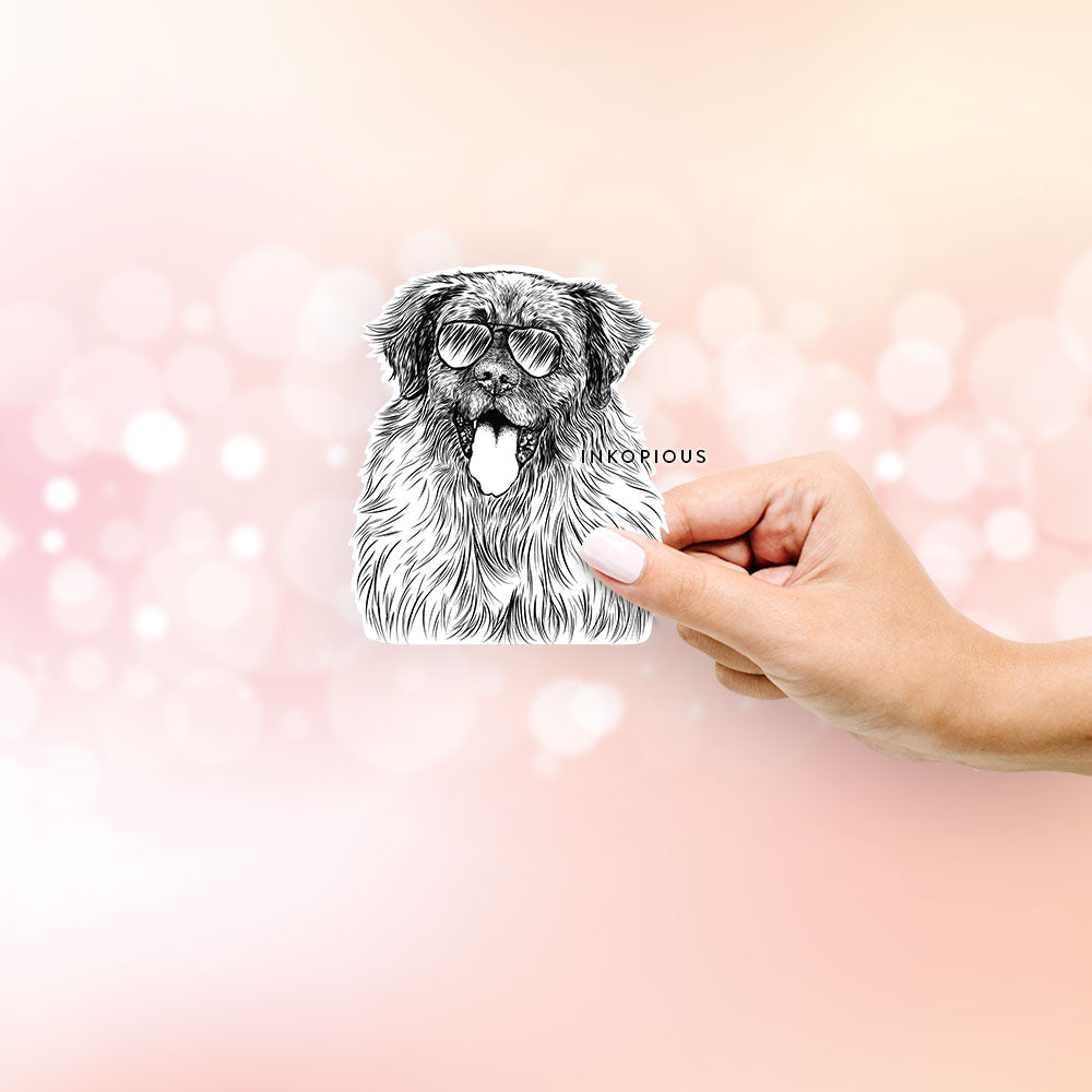 Hand-drawn sketch of Bamboo the Leonberger wearing aviator sunglasses on a Sticker decal sticker