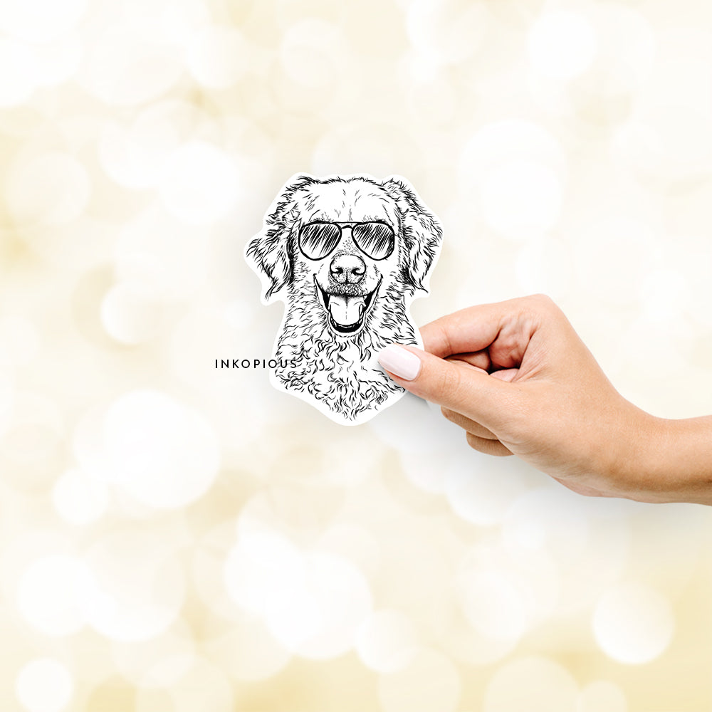 Hand-drawn sketch of Bella Bean the Goldendoodle wearing aviator sunglasses on a Sticker decal sticker