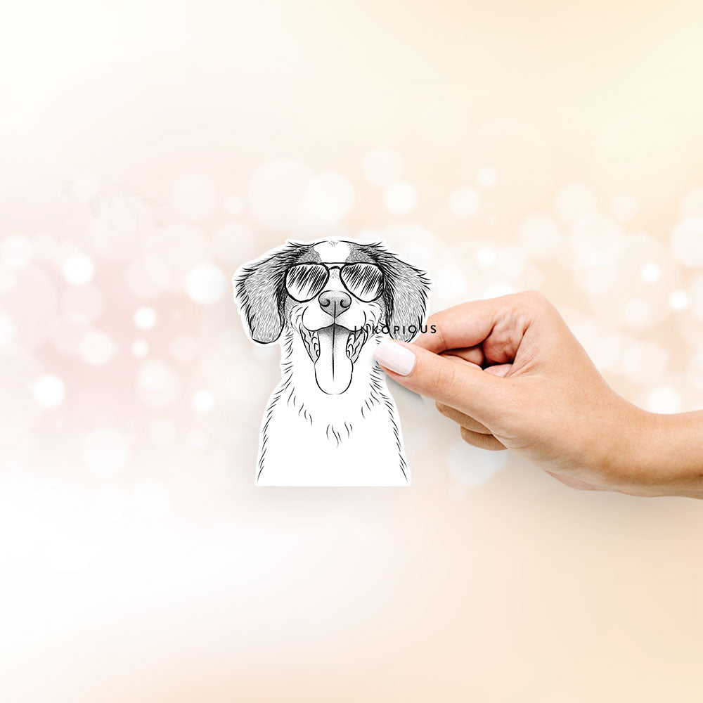 Hand-drawn sketch of Birdie the Brittany wearing aviator sunglasses on a decal sticker