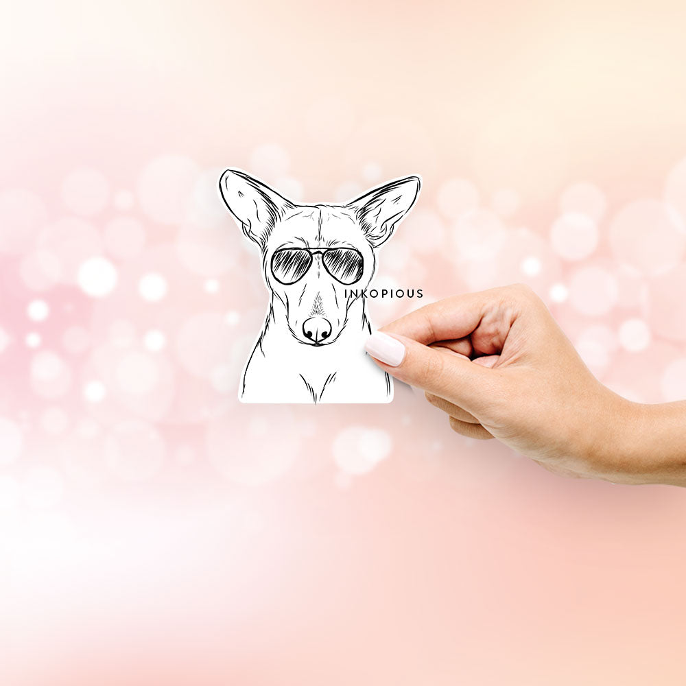 Hand-drawn sketch of Buff the Dorgi wearing aviator sunglasses on a Sticker decal sticker