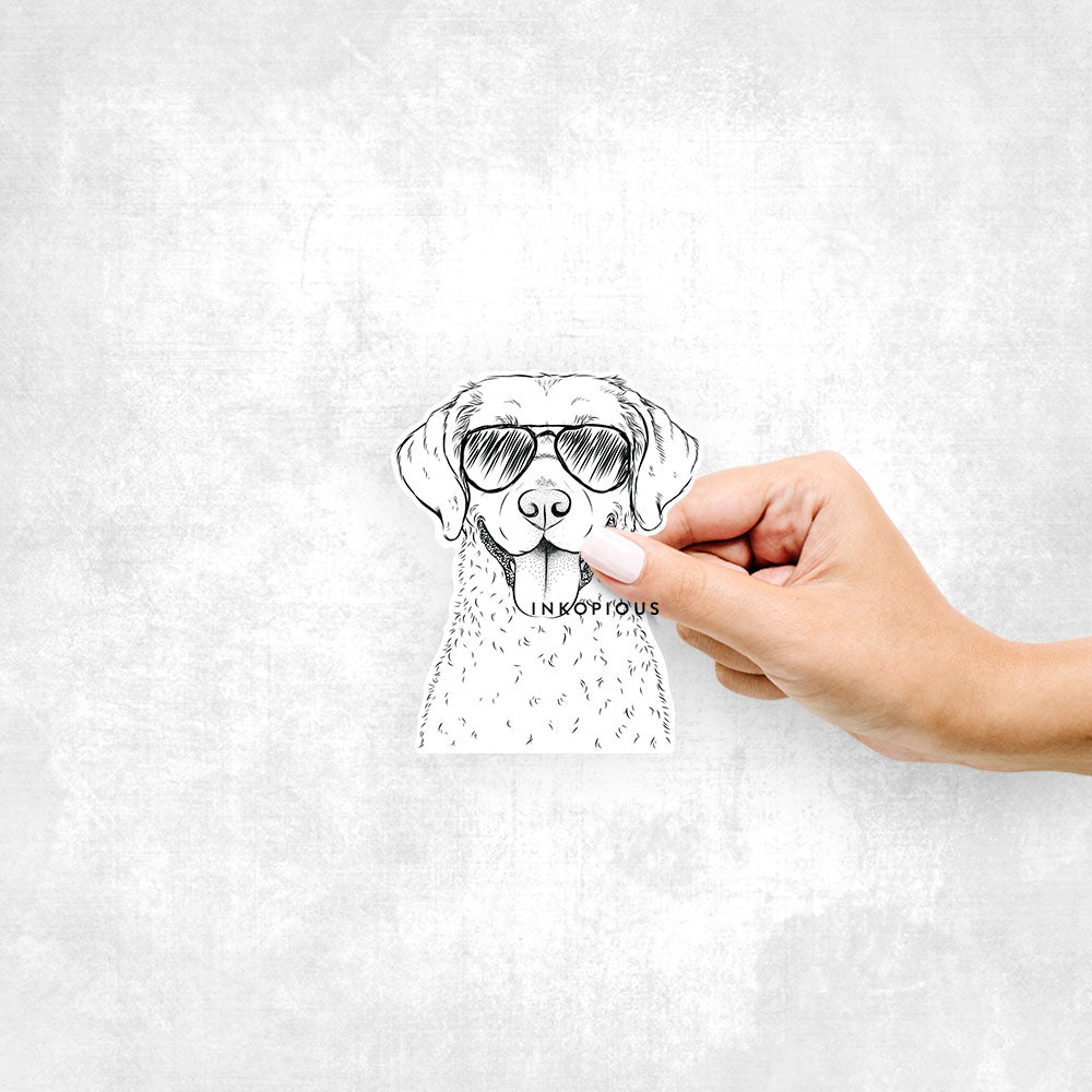 Hand-drawn sketch of Chip the Chesapeake Bay Retriever wearing aviator sunglasses on a decal sticker