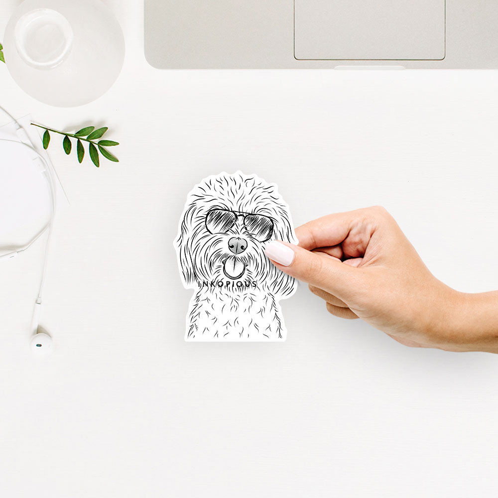 Hand-drawn sketch of Cuddles the Coton de Tulear wearing aviator sunglasses on a decal sticker