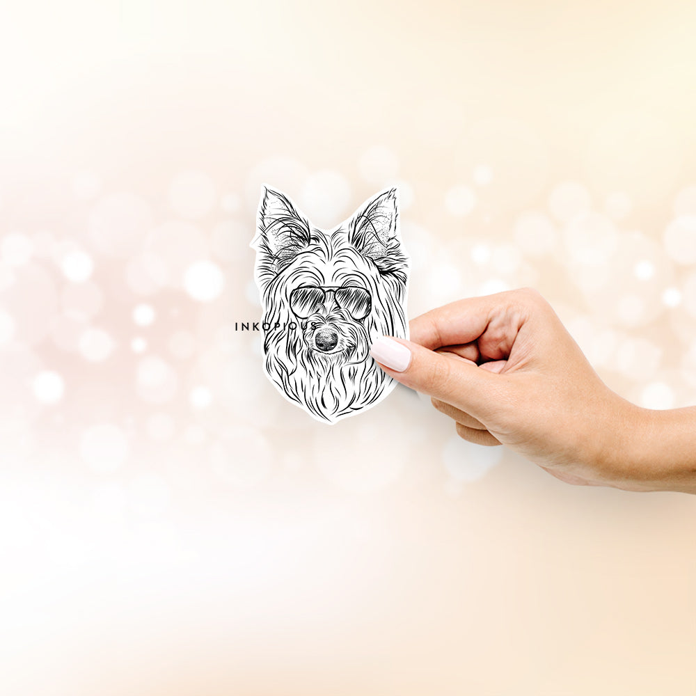 Hand-drawn sketch of Daisy May the Silky Terrier wearing aviator sunglasses on a decal sticker