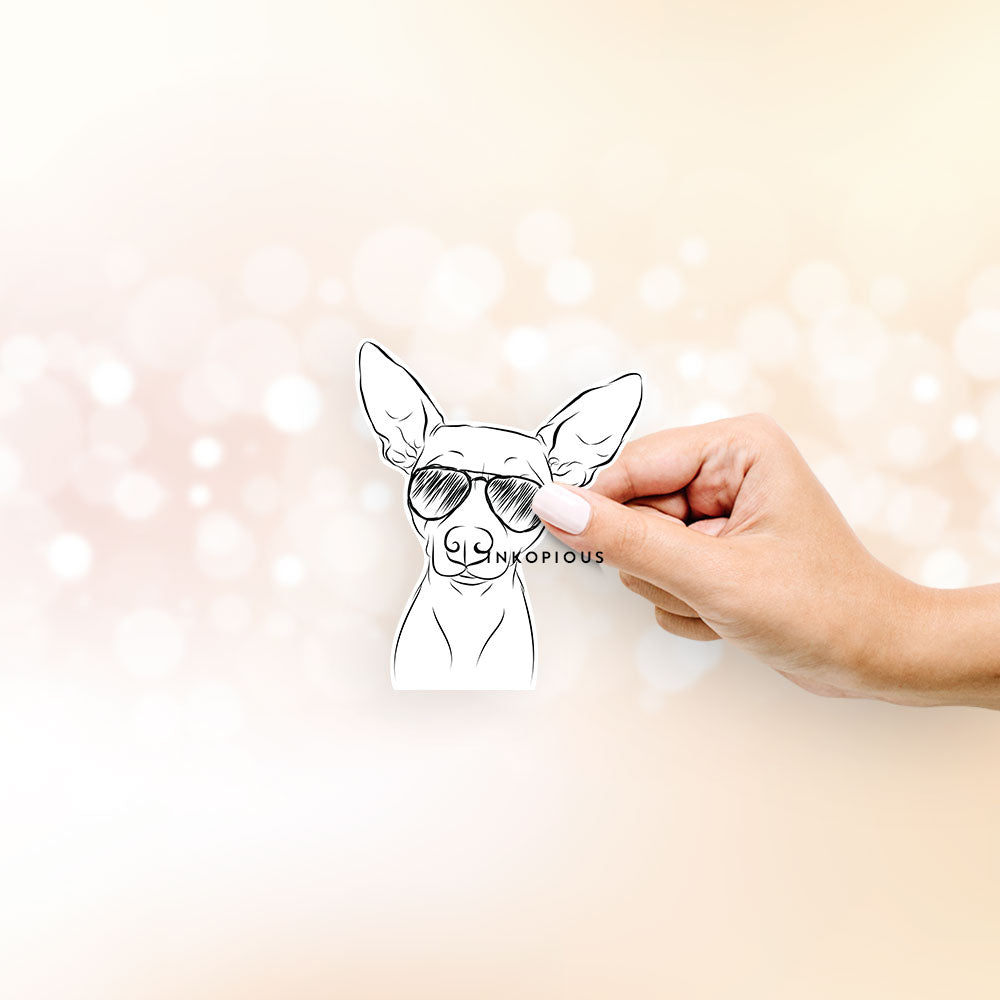 Hand-drawn sketch of Desi the American Hairless Terrier wearing aviator sunglasses on a decal sticker