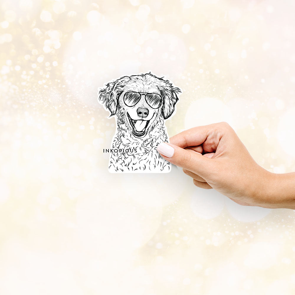 Hand-drawn sketch of Happy Otis the Miniature Goldendoodle wearing aviator sunglasses on a Sticker decal sticker