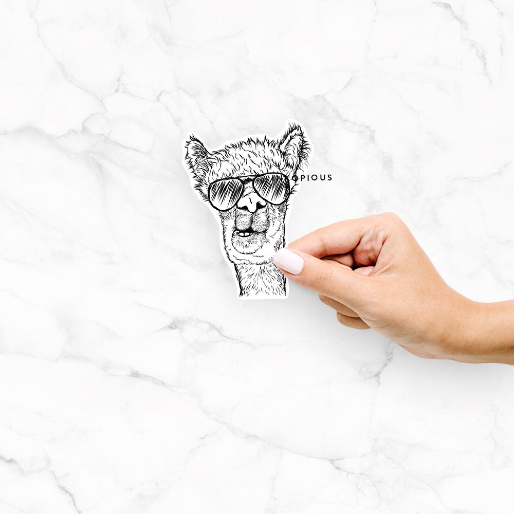 Hand-drawn sketch of Henry the Alpaca wearing aviator sunglasses on a Henry Alpaca decal sticker