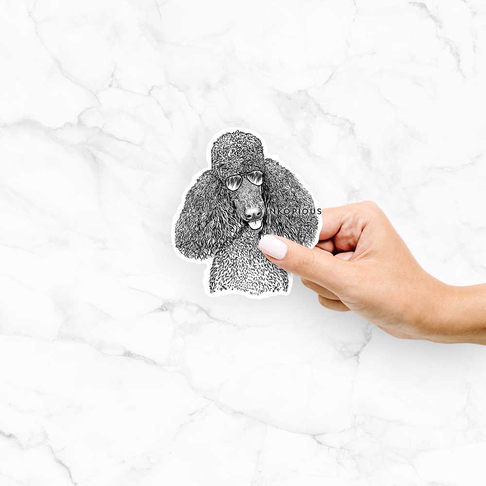 Hand-drawn sketch of Henry the Standard Poodle wearing aviator sunglasses on a Henry Poodle decal sticker