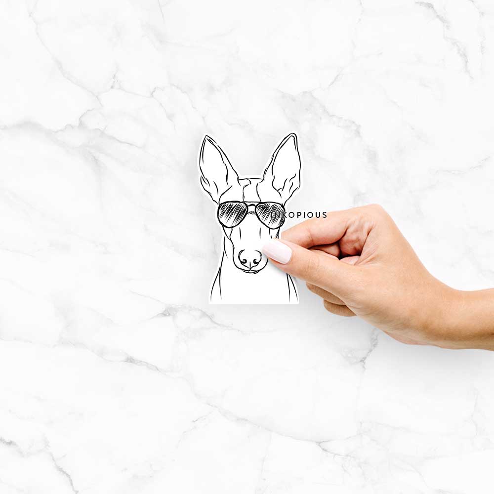 Hand-drawn sketch of Indy the Ibizan Hound wearing aviator sunglasses on a decal sticker