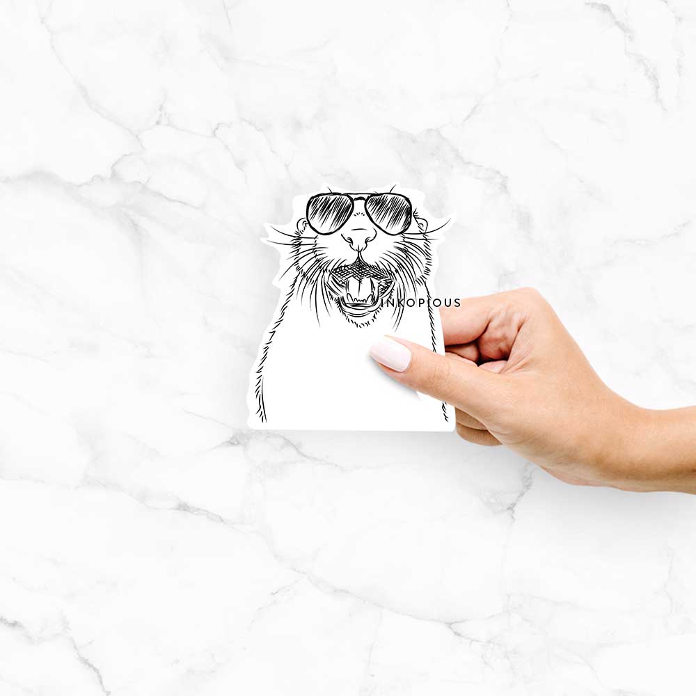 Hand-drawn sketch of Jasper the River Otter wearing aviator sunglasses on a decal sticker