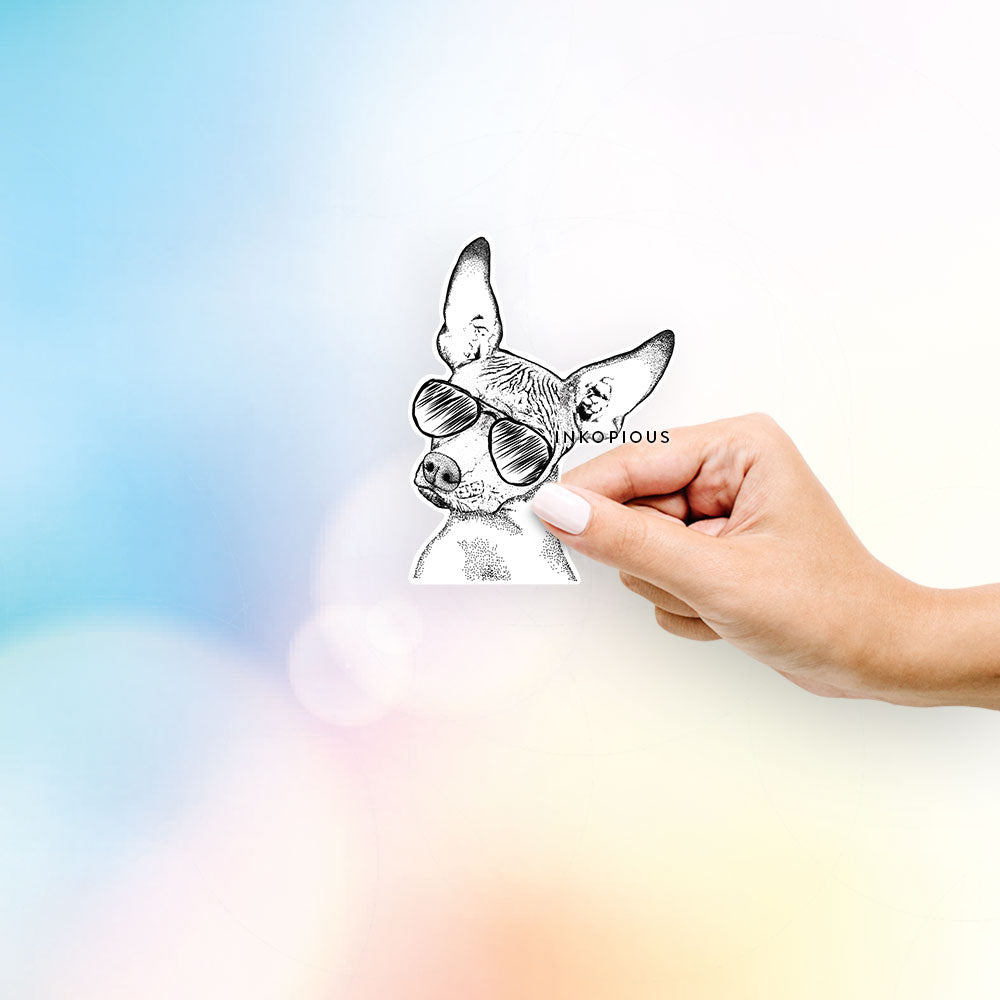 Hand-drawn sketch of Kahlo the Xoloitzcuintli wearing aviator sunglasses on a decal sticker