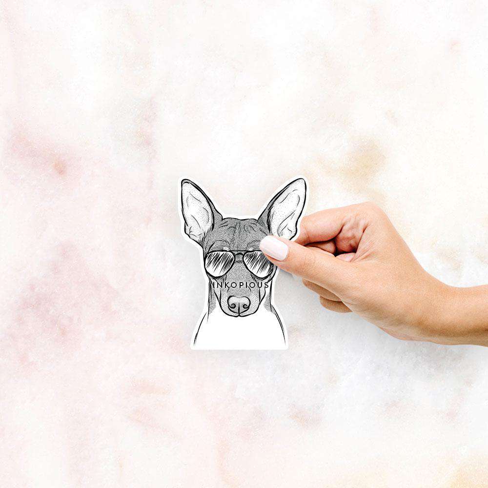 Hand-drawn sketch of Knox the Rat Terrier wearing aviator sunglasses on a decal sticker