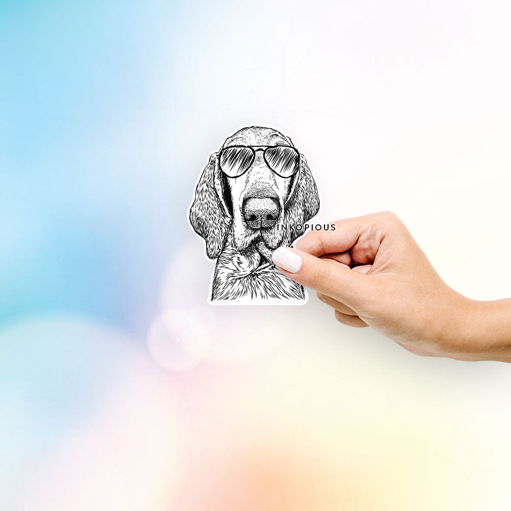 Hand-drawn sketch of Kylie the Bracco Italiano wearing aviator sunglasses on a decal sticker