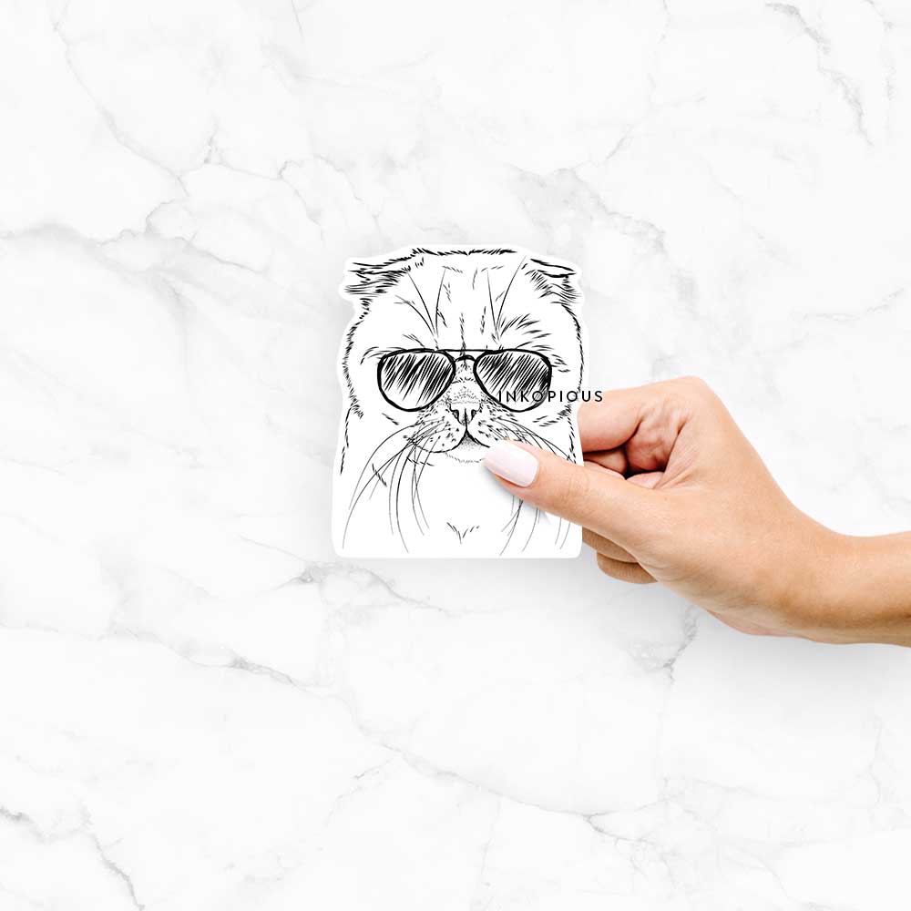 Hand-drawn sketch of Lina the Exotic Fold Cat wearing aviator sunglasses on a Lina Exotic Fold decal sticker