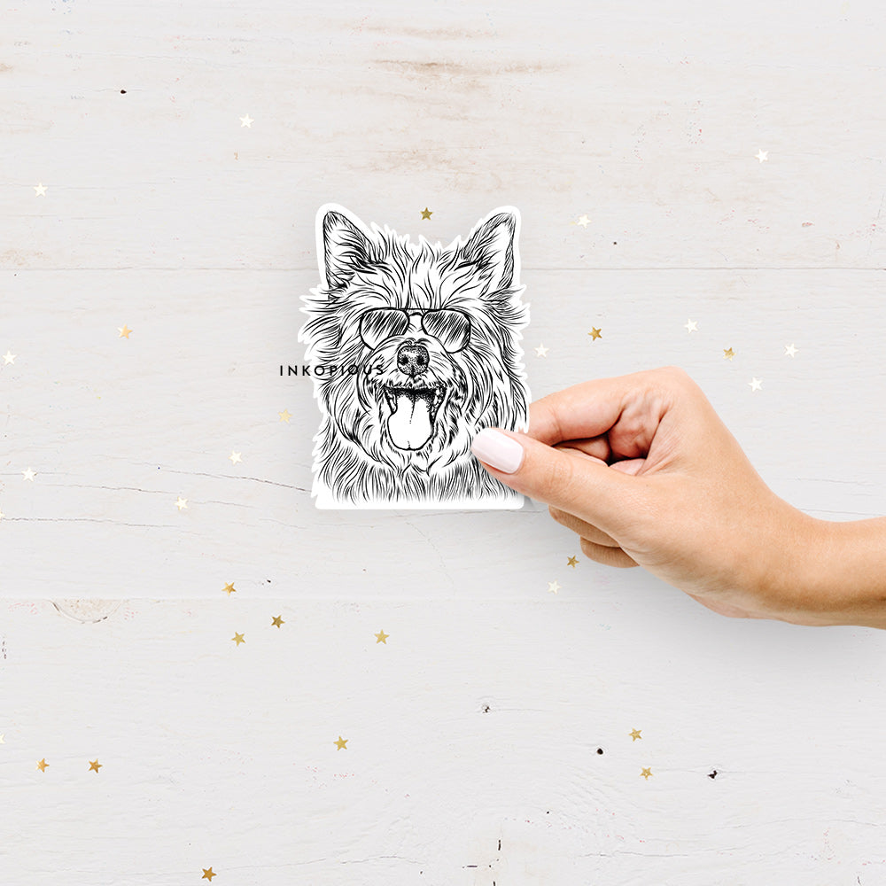 Hand-drawn sketch of Middy the Australian Terrier wearing aviator sunglasses on a decal sticker