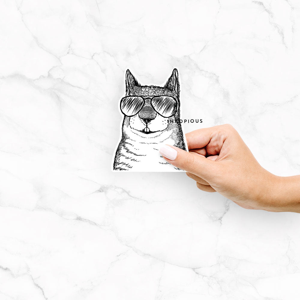 Hand-drawn sketch of Nibbles the Squirrel wearing aviator sunglasses on a Nibbles Squirrel decal sticker