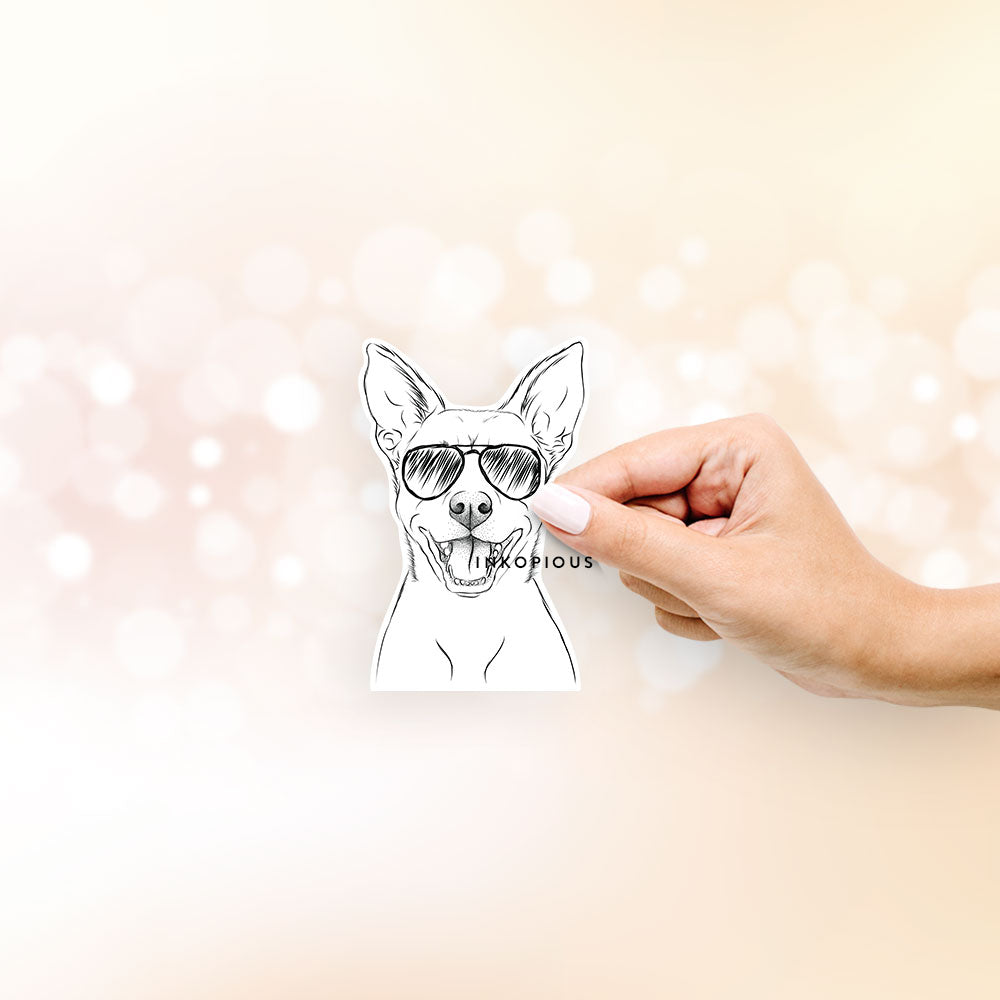 Hand-drawn sketch of Orange the Carolina Dog wearing aviator sunglasses on a decal sticker