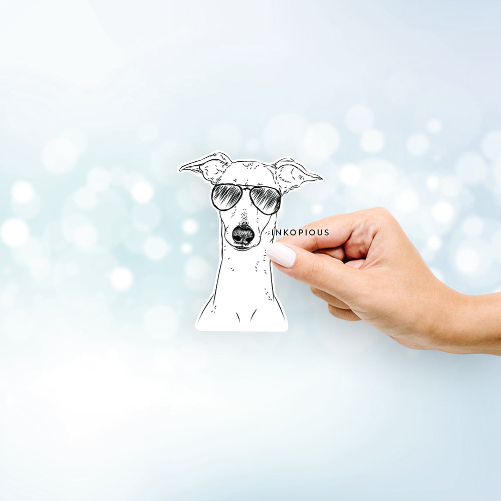 Hand-drawn sketch of Pip the Italian Greyhound wearing aviator sunglasses on a decal sticker