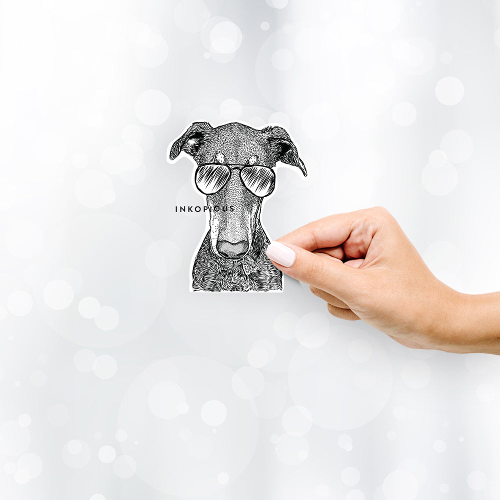 Hand-drawn sketch of Princess Fiona the Doberman Pinscher wearing aviator sunglasses on a decal sticker