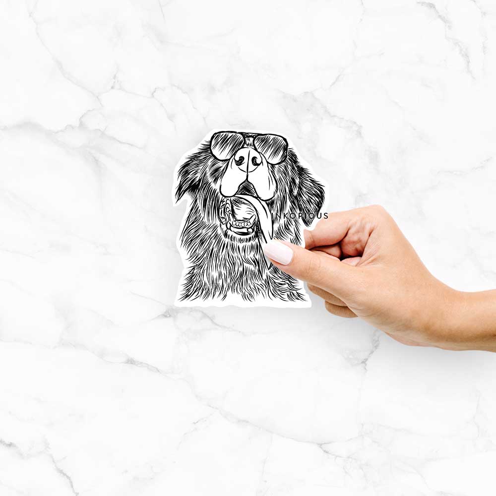 Hand-drawn sketch of Quint the Mixed Breed wearing aviator sunglasses on a decal sticker