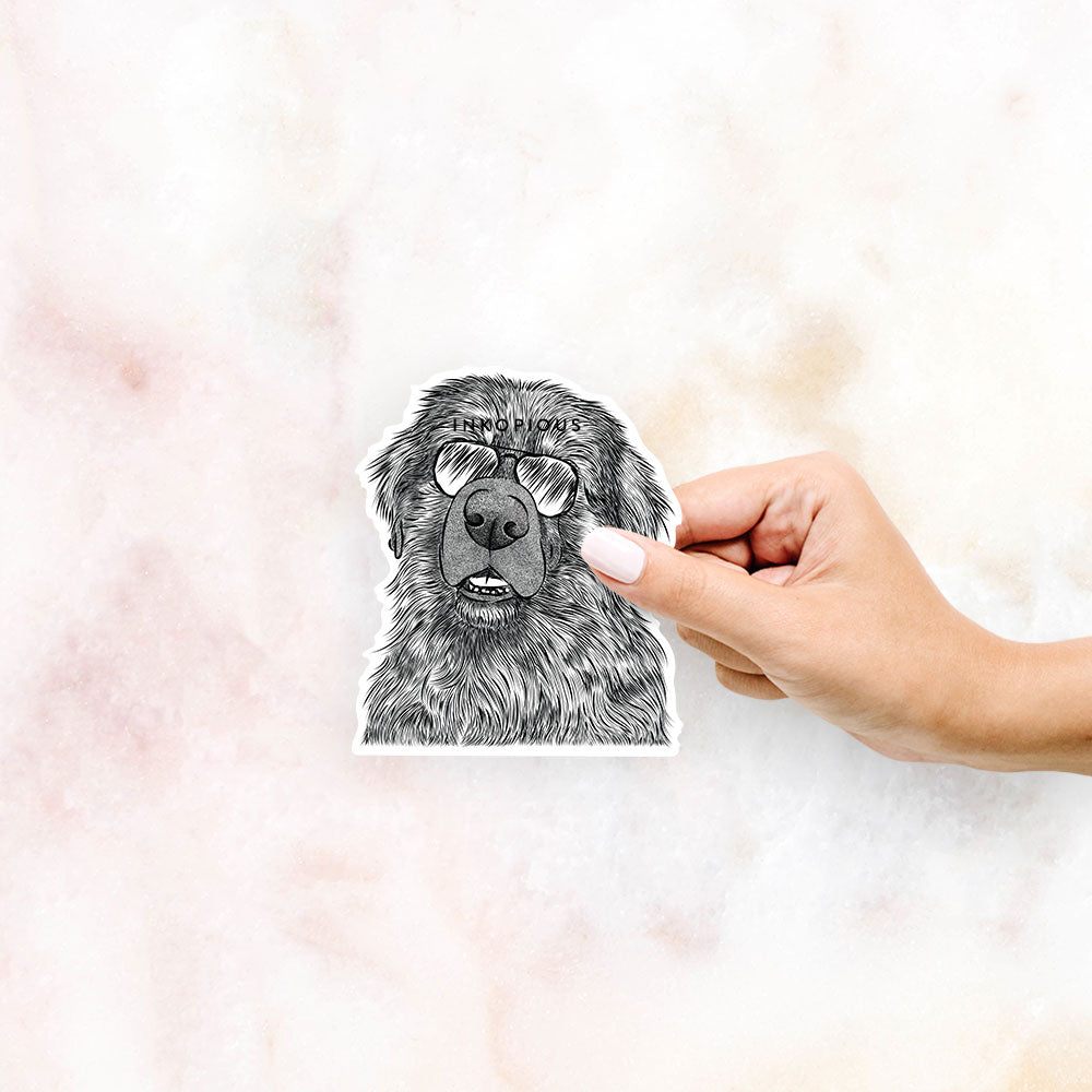Hand-drawn sketch of Ralph the Leonberger wearing aviator sunglasses on a decal sticker