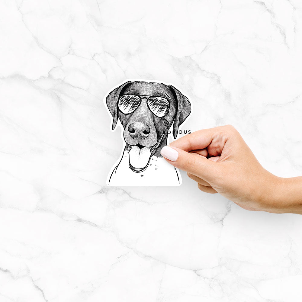 Hand-drawn sketch of Remi the German Shorthaired Pointer wearing aviator sunglasses on a Remi GSP decal sticker