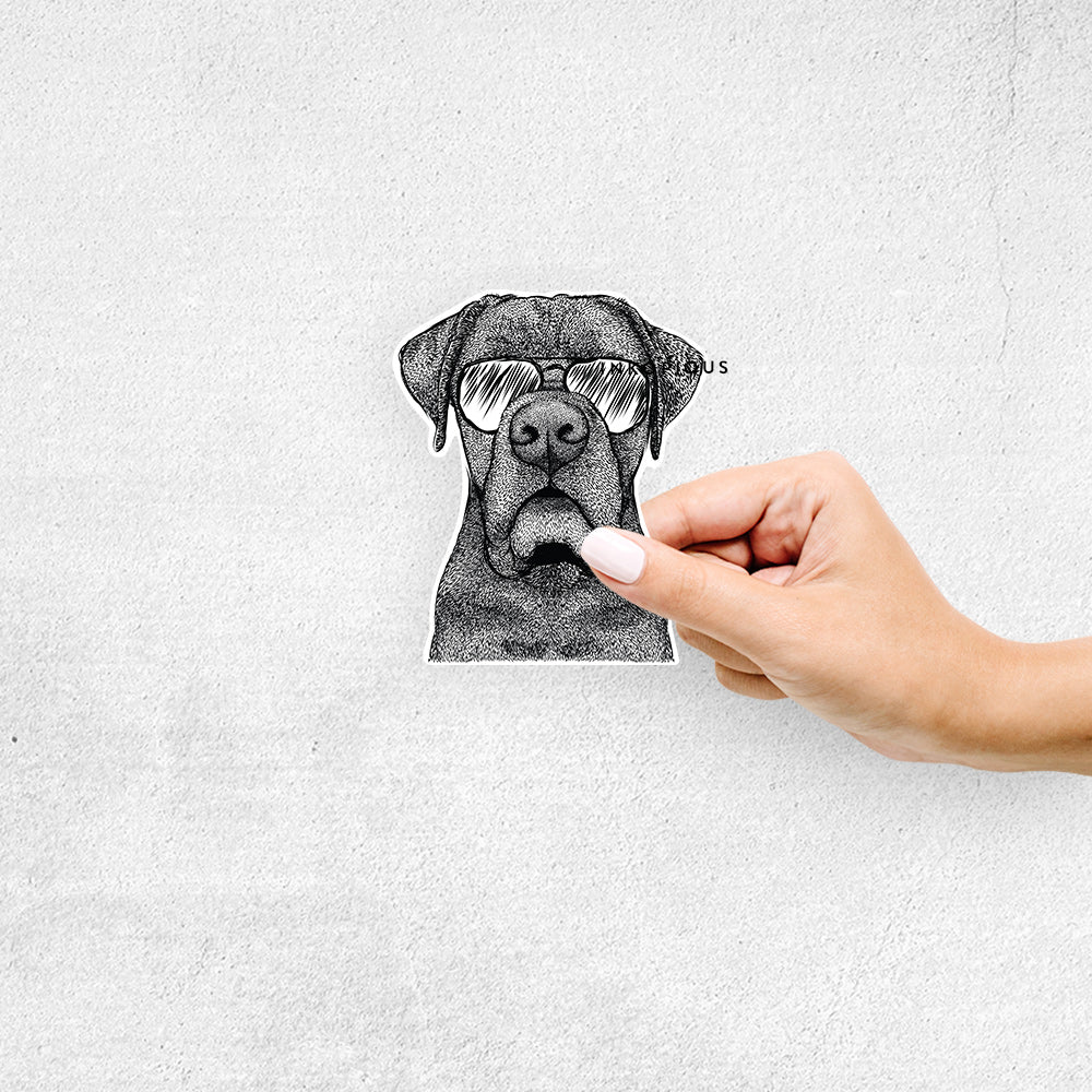 Hand-drawn sketch of Rocco the Cane Corso wearing aviator sunglasses on a decal sticker