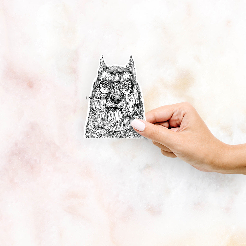 Hand-drawn sketch of Sabre the Bouvier des Flandres wearing aviator sunglasses on a decal sticker