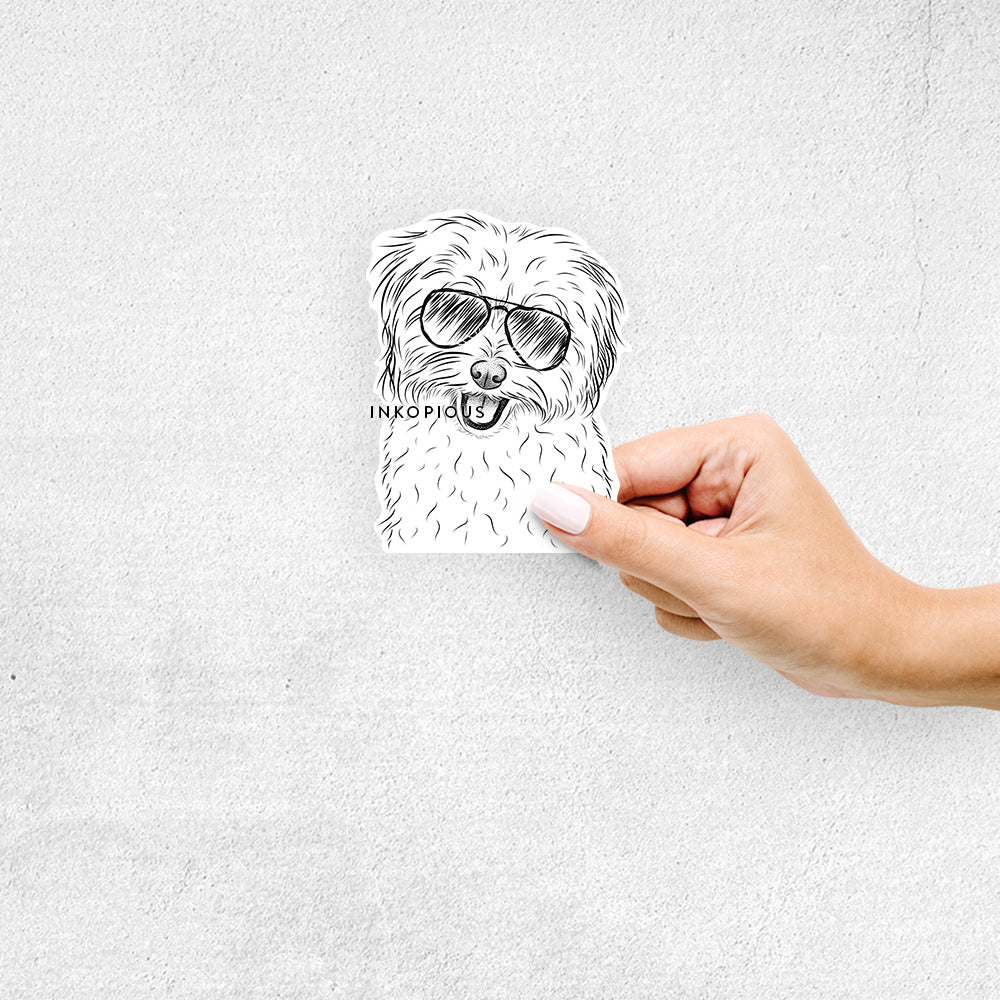 Hand-drawn sketch of Sophie Quinn the Havanese wearing aviator sunglasses on a decal sticker